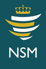 NSM